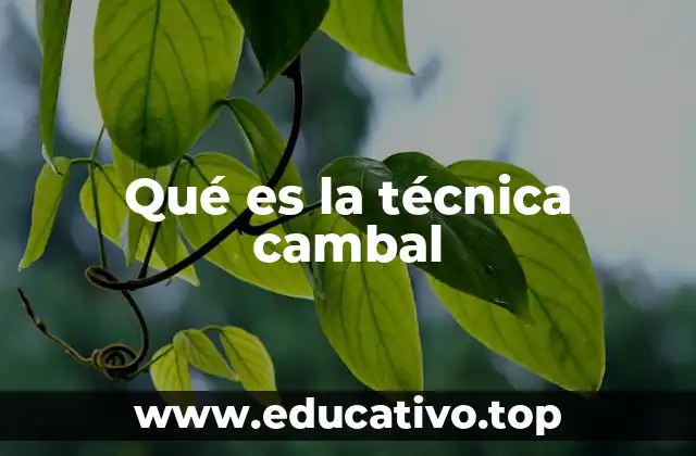 Qué es la técnica cambal