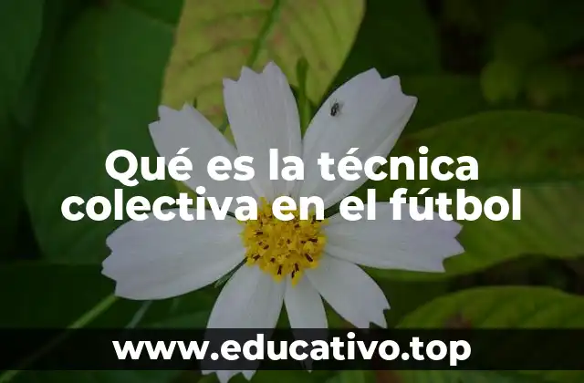 Qué es la técnica colectiva en el fútbol