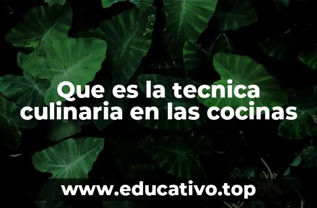 Que es la tecnica culinaria en las cocinas