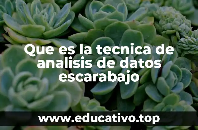 Que es la tecnica de analisis de datos escarabajo