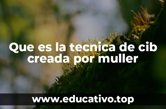 Que es la tecnica de cib creada por muller