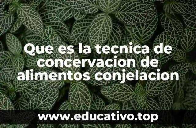Que es la tecnica de concervacion de alimentos conjelacion