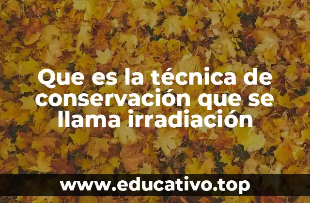 Que es la técnica de conservación que se llama irradiación