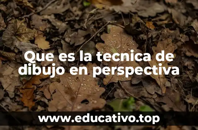 Que es la tecnica de dibujo en perspectiva