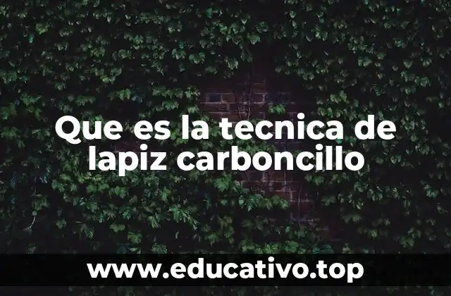 Que es la tecnica de lapiz carboncillo