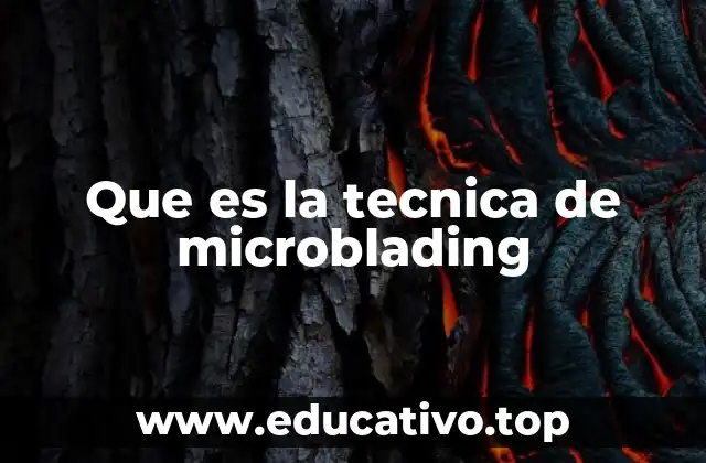 Que es la tecnica de microblading