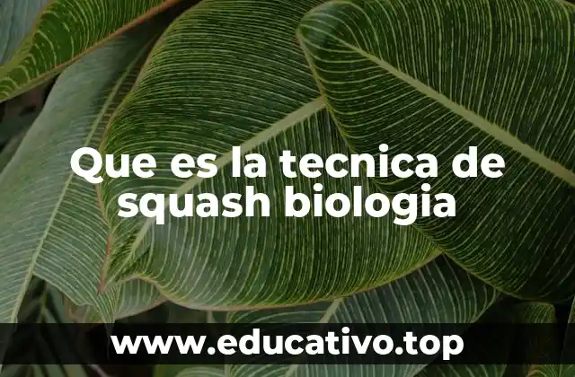 Que es la tecnica de squash biologia