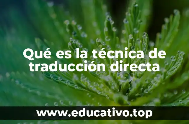 Qué es la técnica de traducción directa