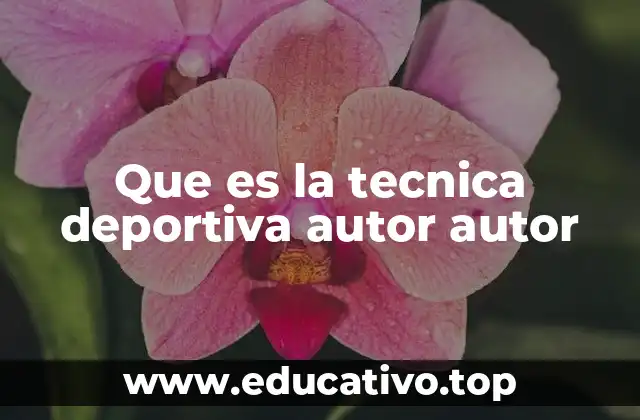 Que es la tecnica deportiva autor autor