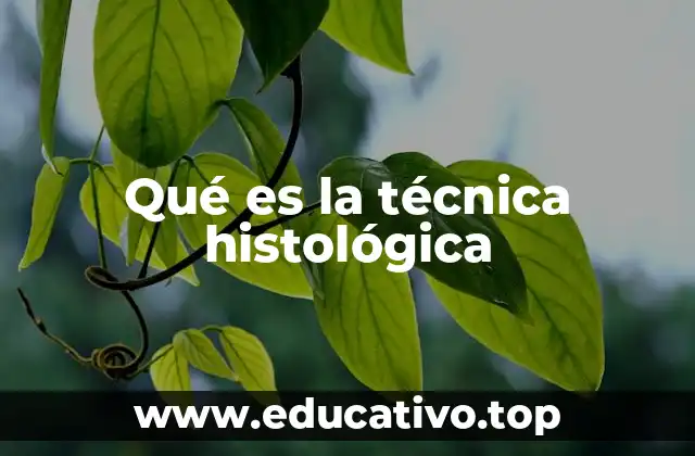 Qué es la técnica histológica