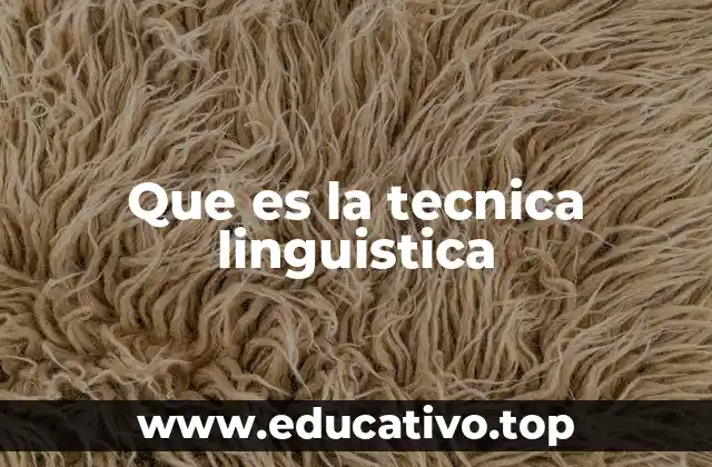 El papel de la técnica lingüística en el análisis del lenguaje