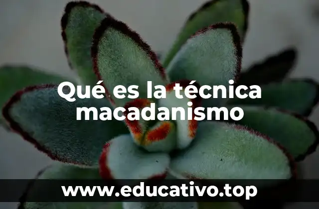 Qué es la técnica macadanismo