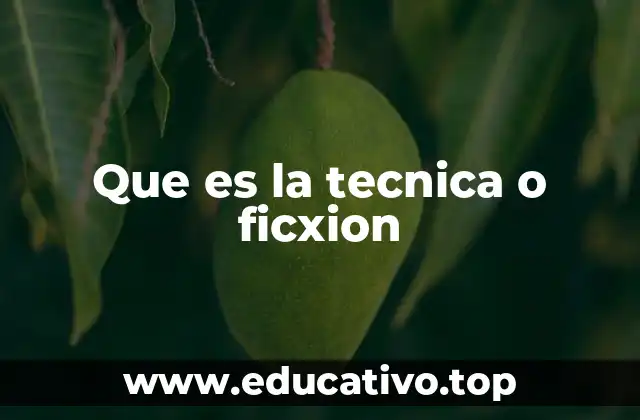 Que es la tecnica o ficxion
