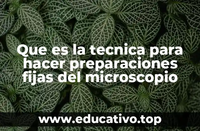 Que es la tecnica para hacer preparaciones fijas del microscopio