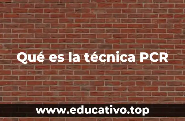 Qué es la técnica PCR