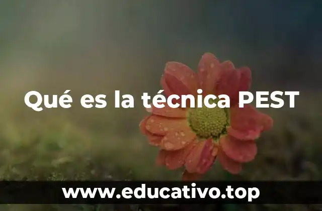 Qué es la técnica PEST