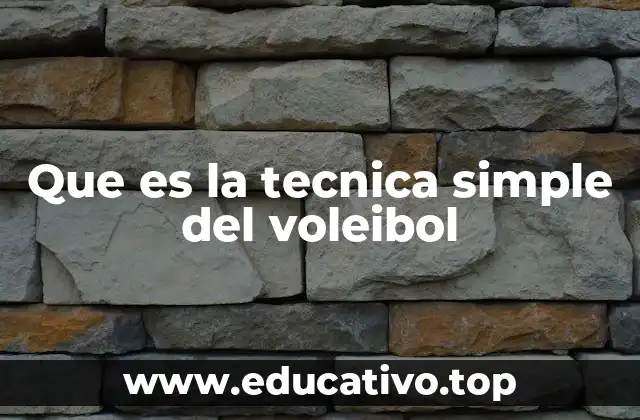 Que es la tecnica simple del voleibol