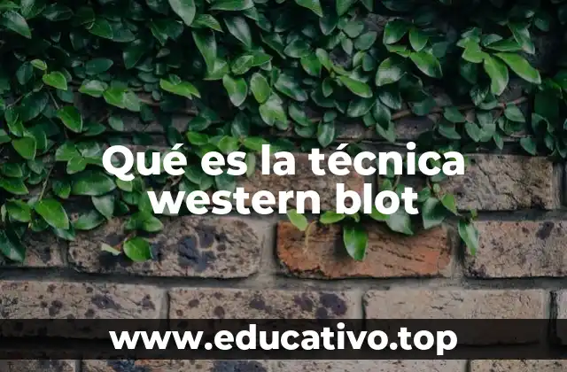 Qué es la técnica western blot