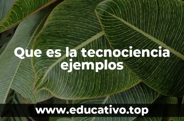 Que es la tecnociencia ejemplos