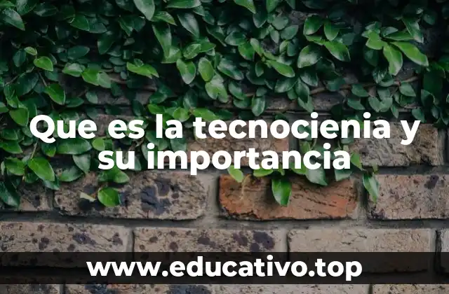 Que es la tecnocienia y su importancia