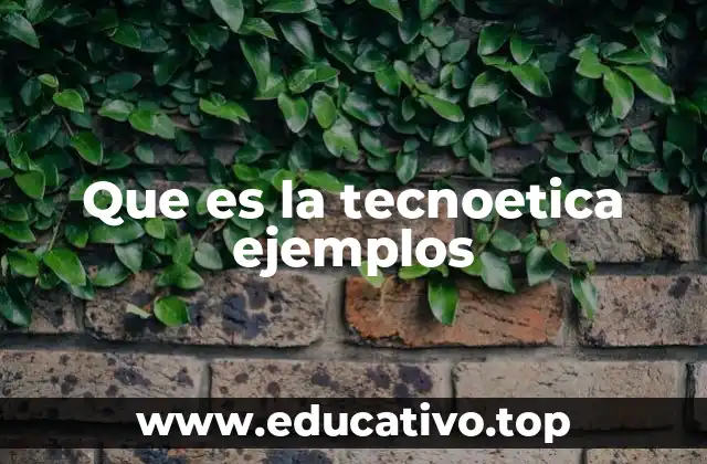 Que es la tecnoetica ejemplos