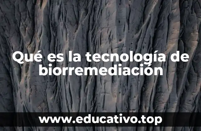 Qué es la tecnología de biorremediación