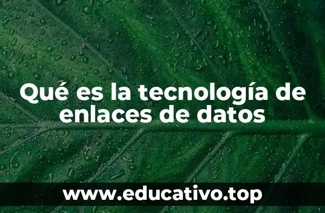 Qué es la tecnología de enlaces de datos