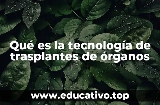 Qué es la tecnología de trasplantes de órganos