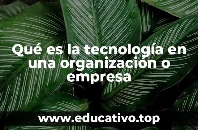 Qué es la tecnología en una organización o empresa
