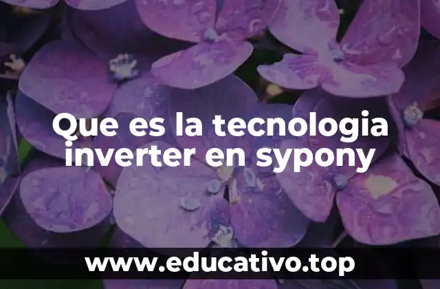 Que es la tecnologia inverter en sypony