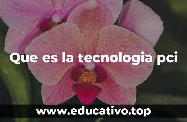 Que es la tecnologia pci