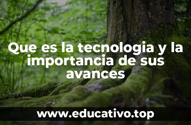 Que es la tecnologia y la importancia de sus avances