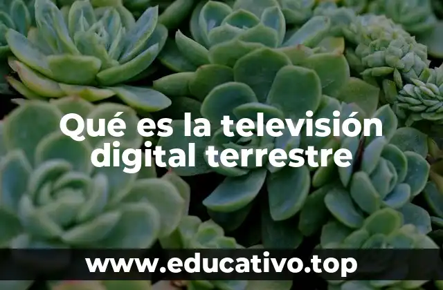 Qué es la televisión digital terrestre