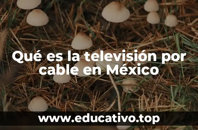 Qué es la televisión por cable en México