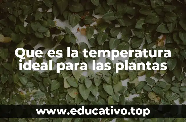 Que es la temperatura ideal para las plantas