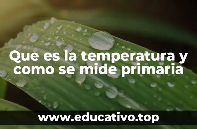 Que es la temperatura y como se mide primaria