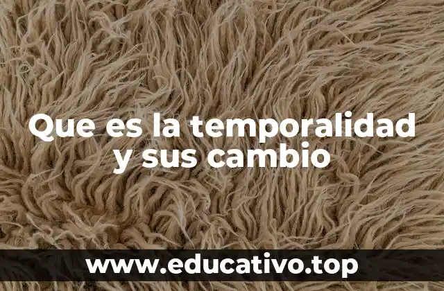 Que es la temporalidad y sus cambio