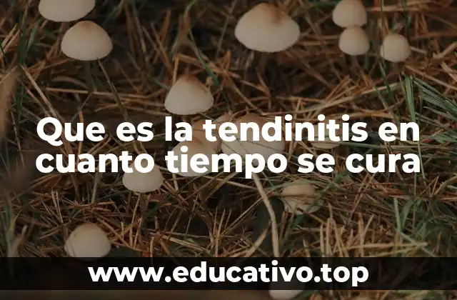 Que es la tendinitis en cuanto tiempo se cura