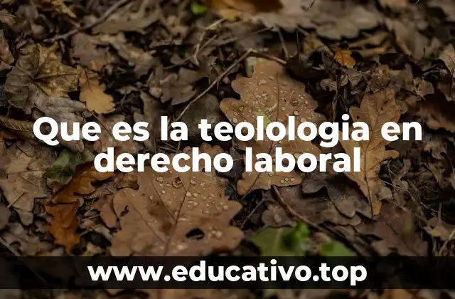 Que es la teolologia en derecho laboral