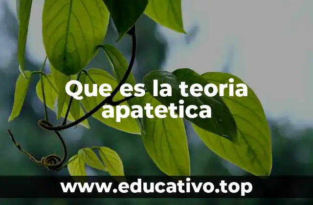 Que es la teoria apatetica