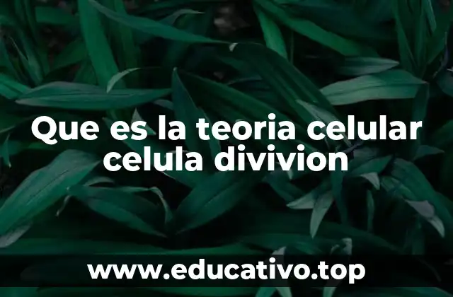 Que es la teoria celular celula divivion