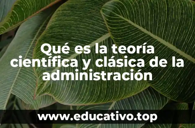 Fundamentos de la administración en el siglo XX