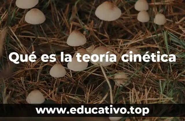 Qué es la teoría cinética