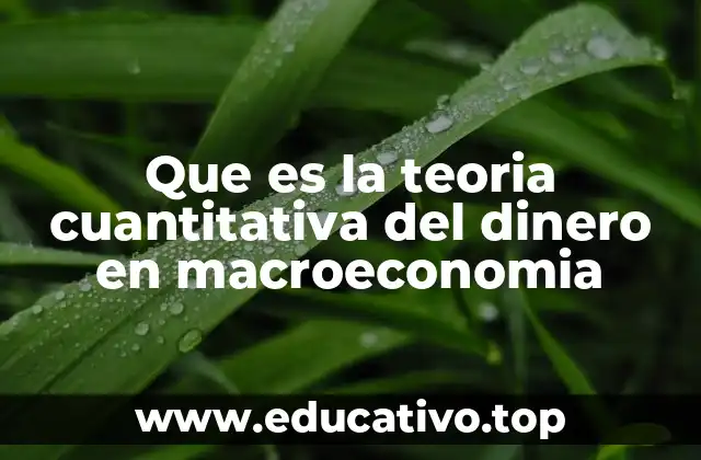 Que es la teoria cuantitativa del dinero en macroeconomia