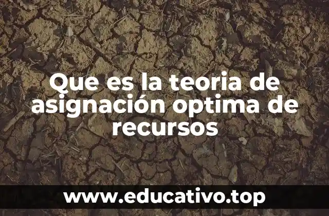 Que es la teoria de asignación optima de recursos