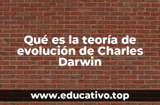 Qué es la teoría de evolución de Charles Darwin