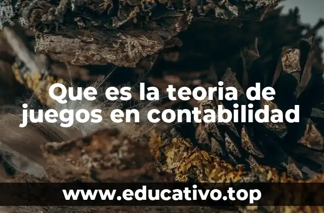 Que es la teoria de juegos en contabilidad