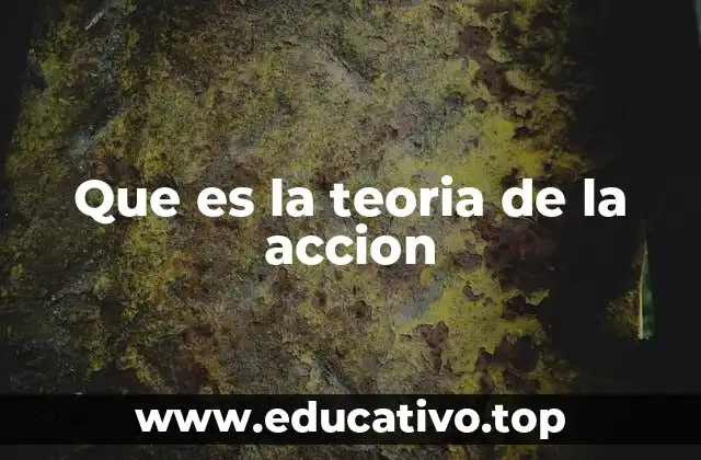 Que es la teoria de la accion