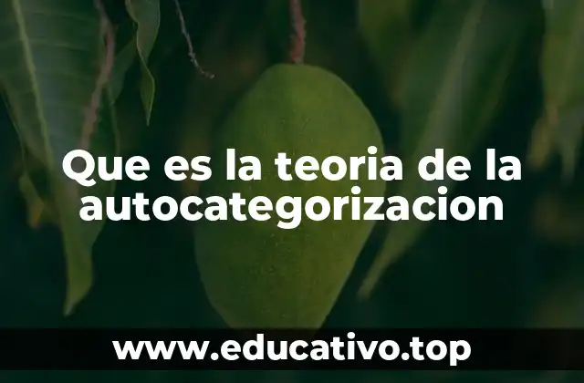 Que es la teoria de la autocategorizacion