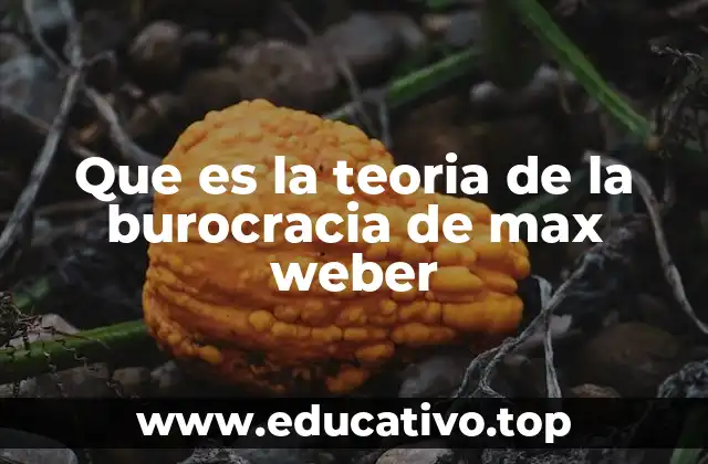 Que es la teoria de la burocracia de max weber